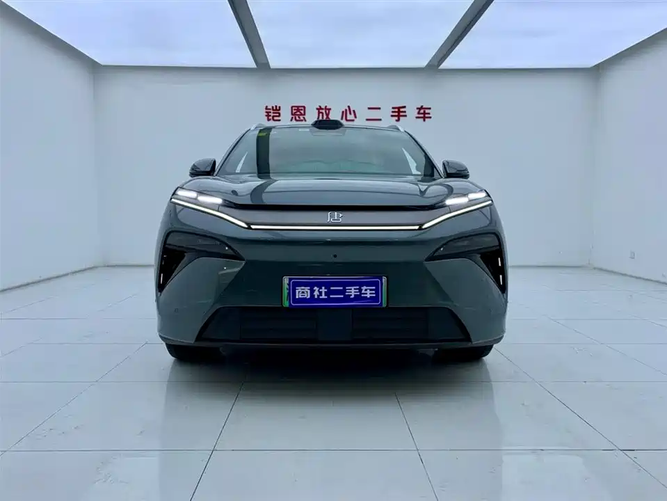 BYD Tang L