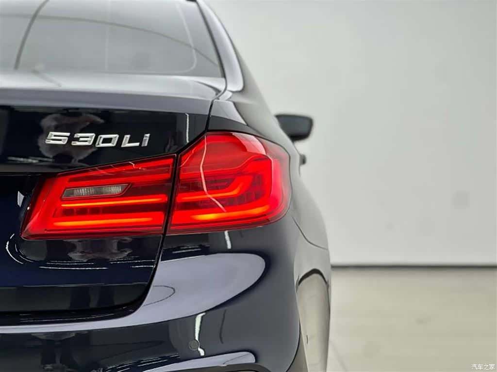 BMW 5 Series, 2020 16