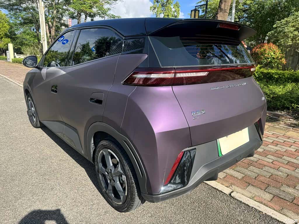 BYD Seagull, 2024 7