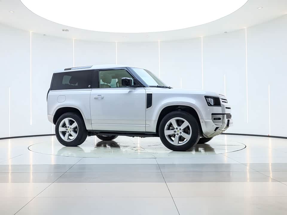 Land Rover guard