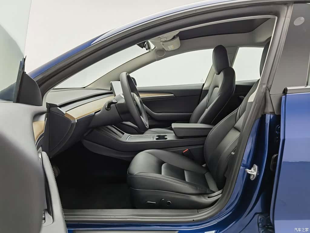 Tesla Model 3, 2021 10