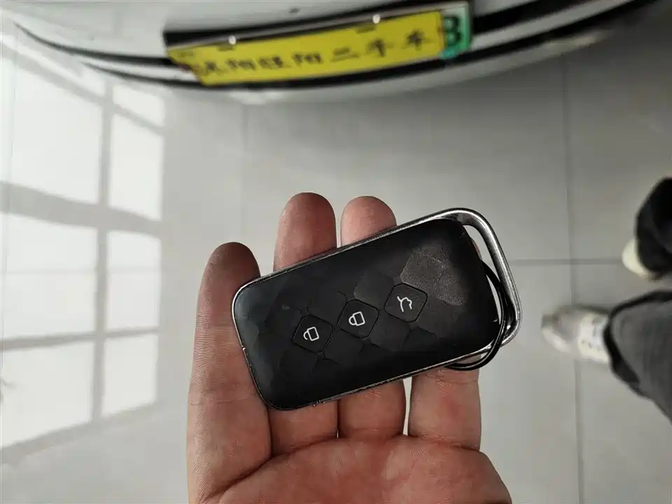 Wuling Wuling Starlight