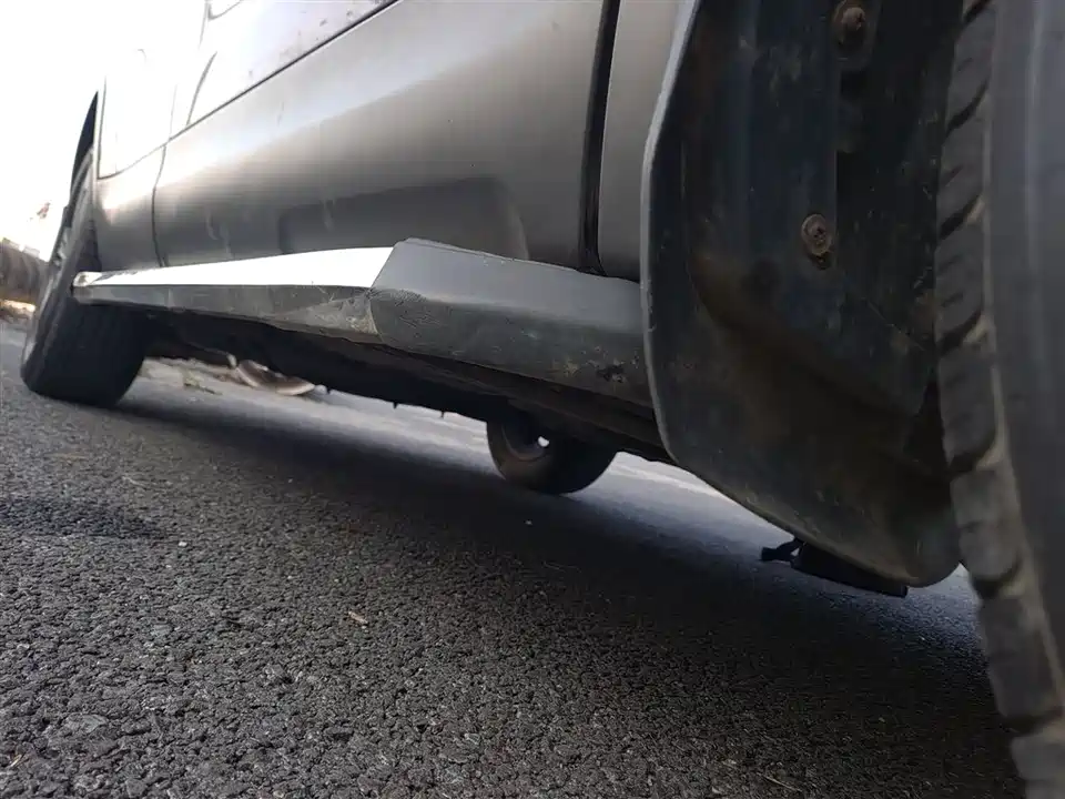 Leopaard Cheetah CS10