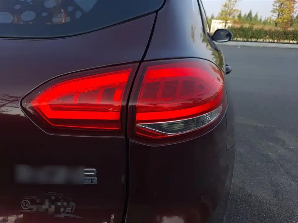 Leopaard Cheetah CS10