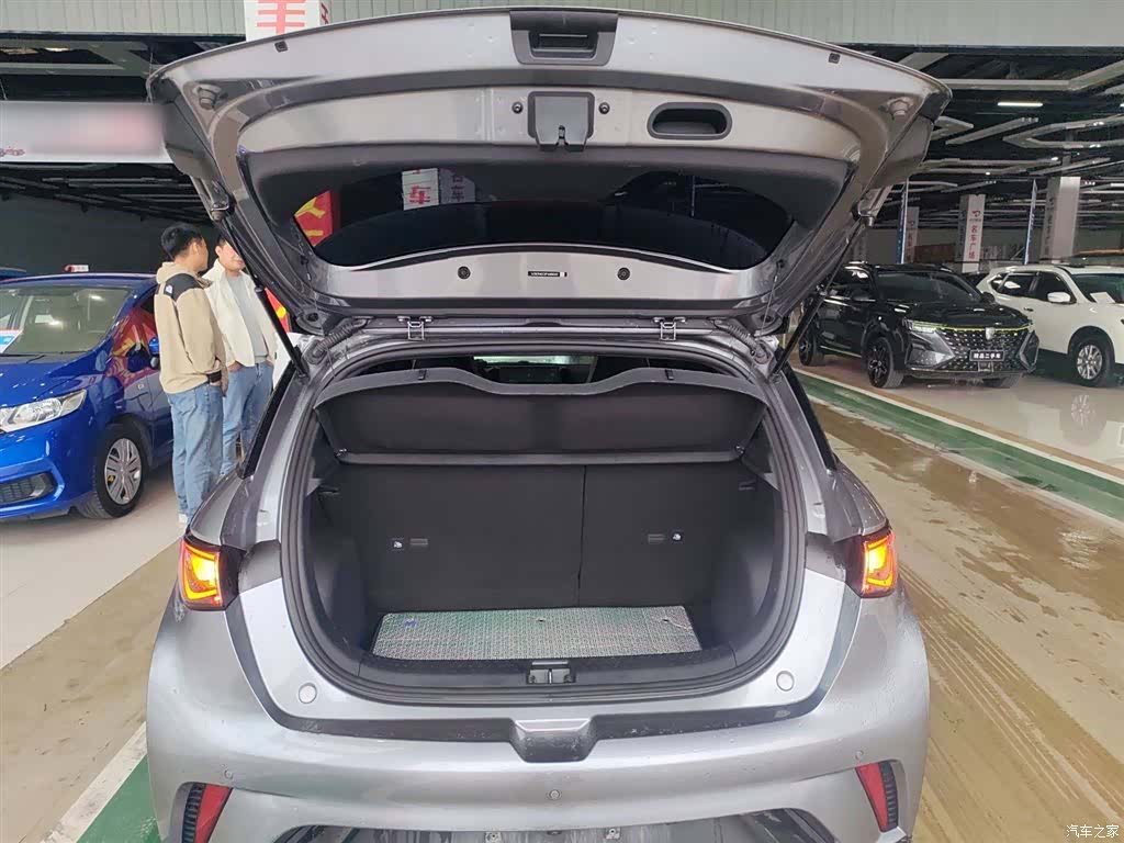 BYD Dolphin, 2024 19