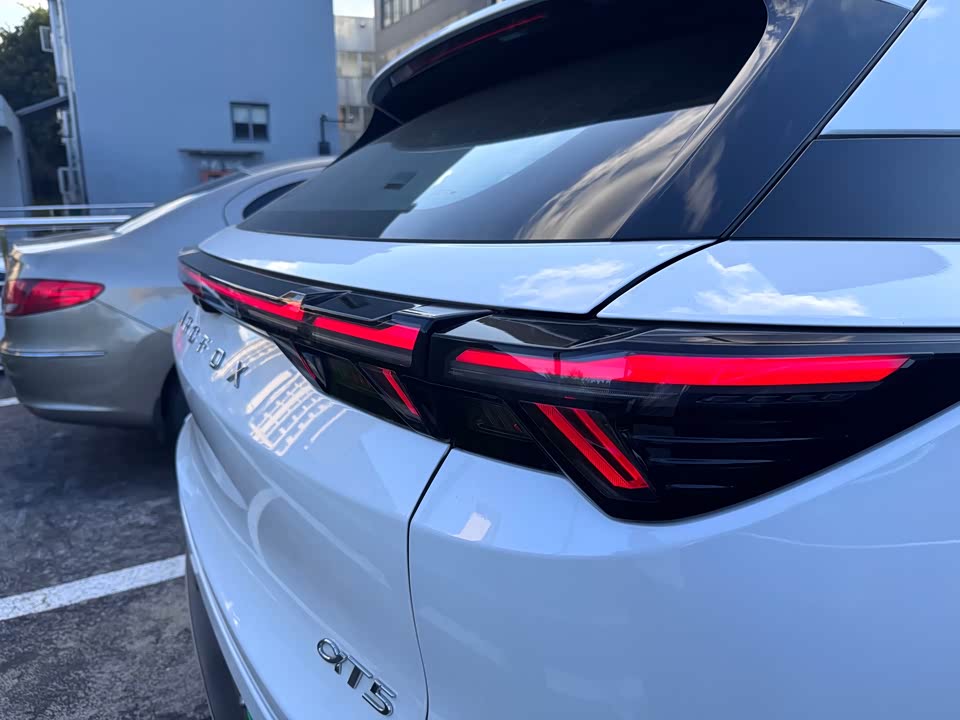 ARCFOX Polar Fox Alpha T5