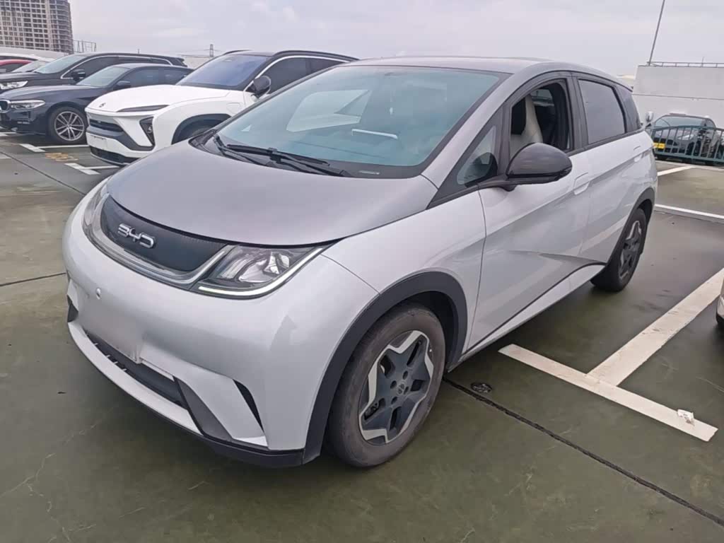 BYD Dolphin 2021 405km Freedom