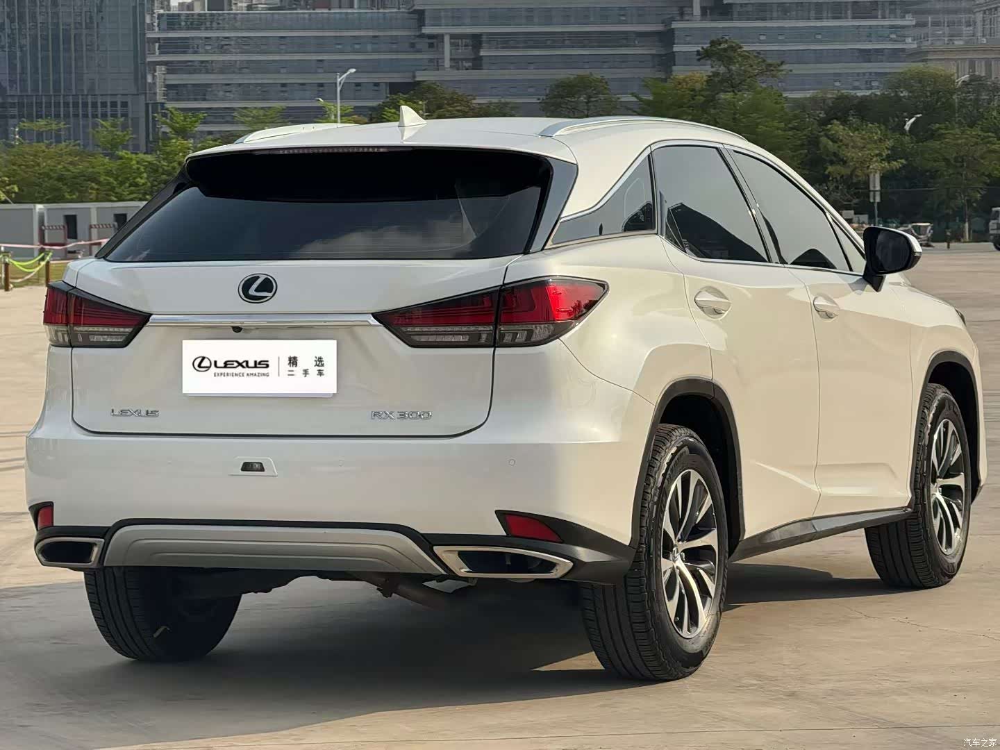 Lexus RX, 2020 3
