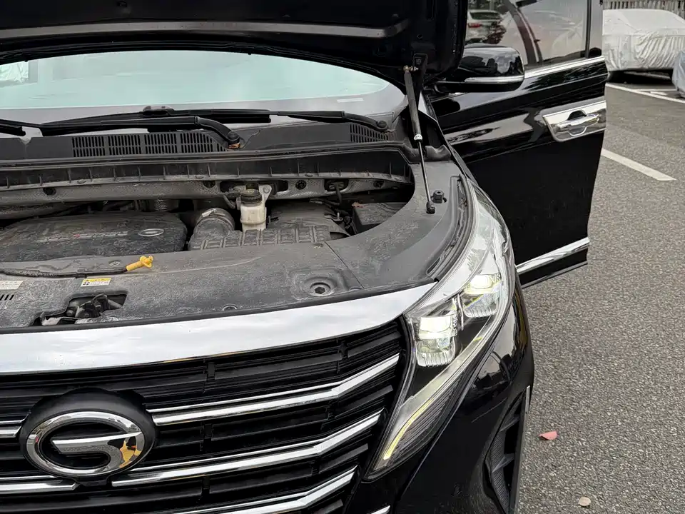 Trumpchi Trumpchi M8