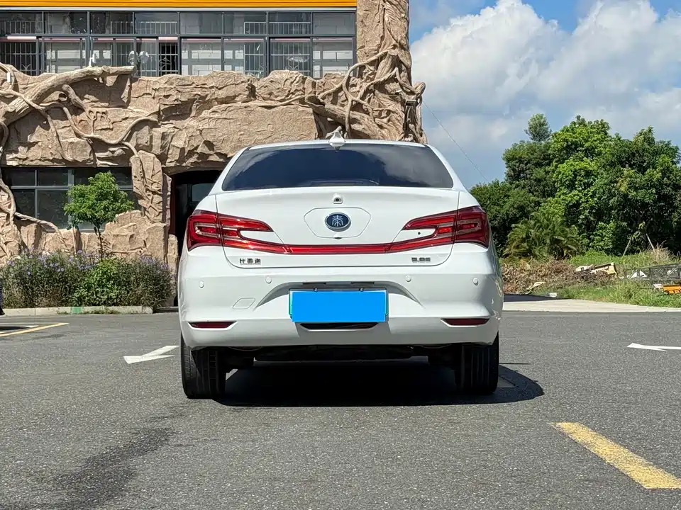 BYD Qinxin Energy