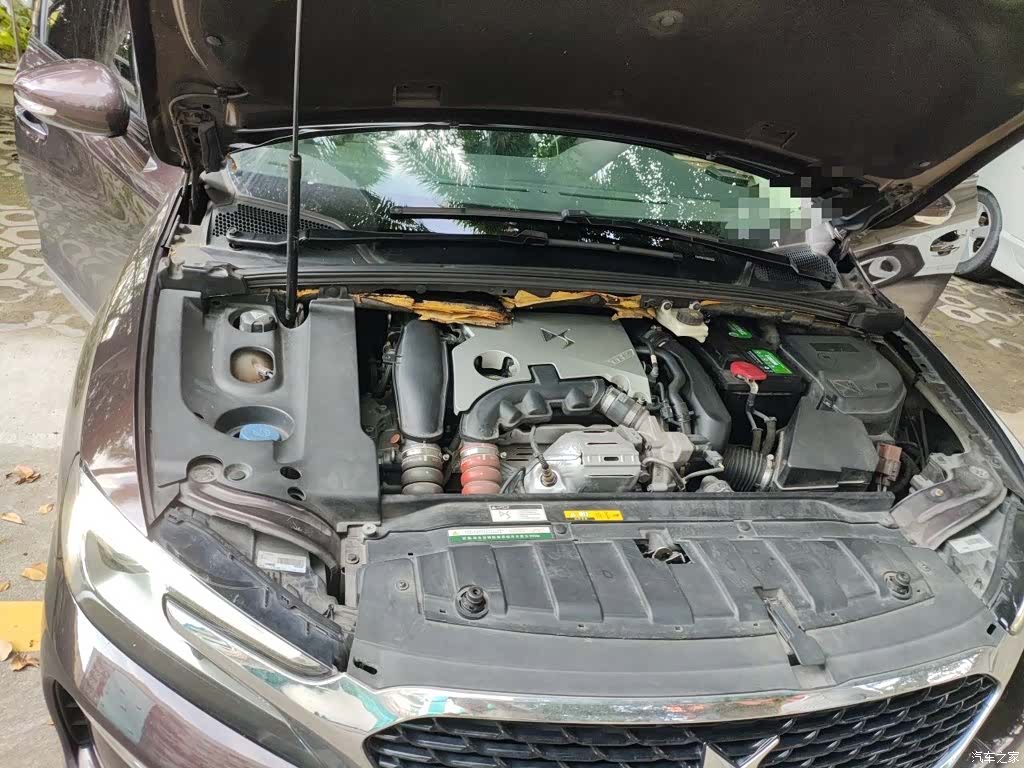 DS 5LS, 2018 21