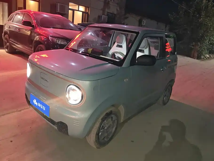 Geely Galaxy panda