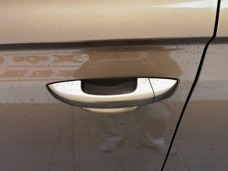 Volkswagen C-TREK Wei Collar