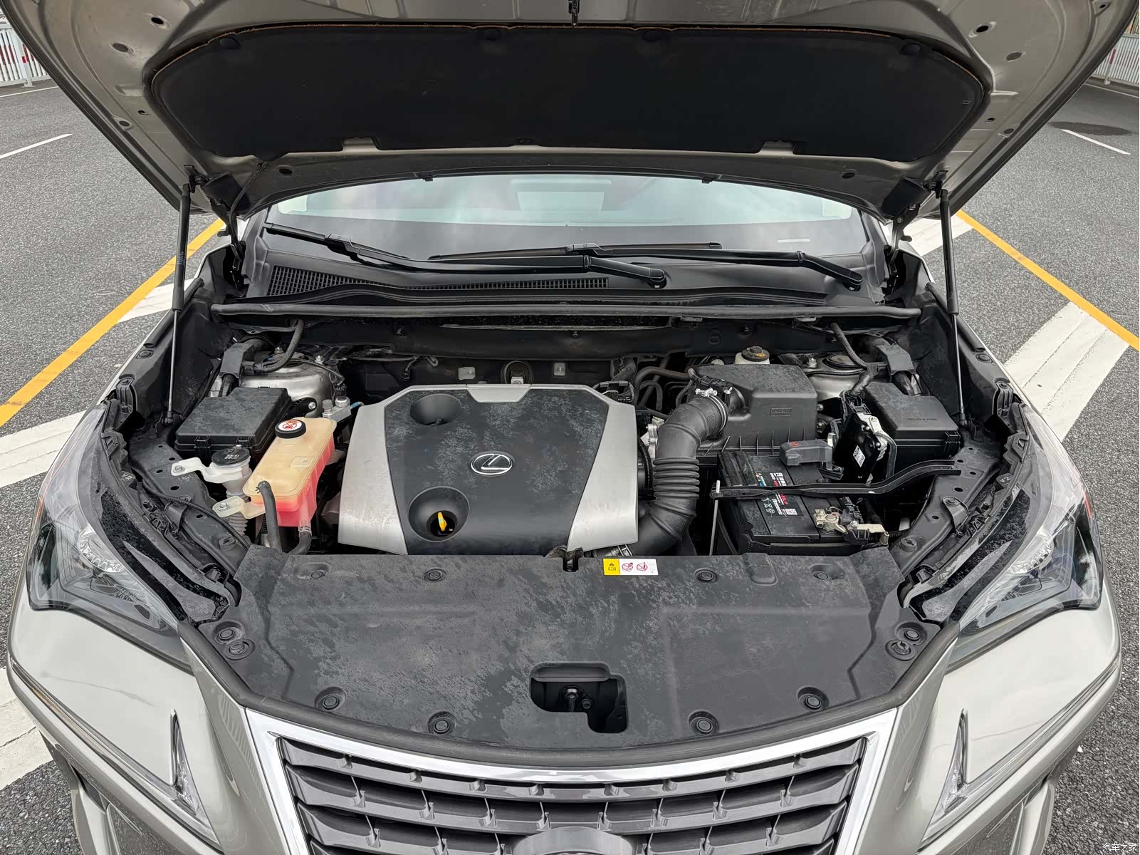 Lexus NX, 2018 15