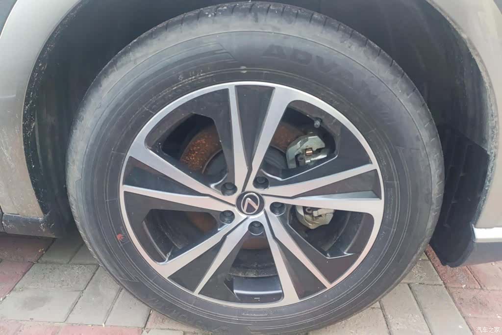 Lexus RX, 2024 6