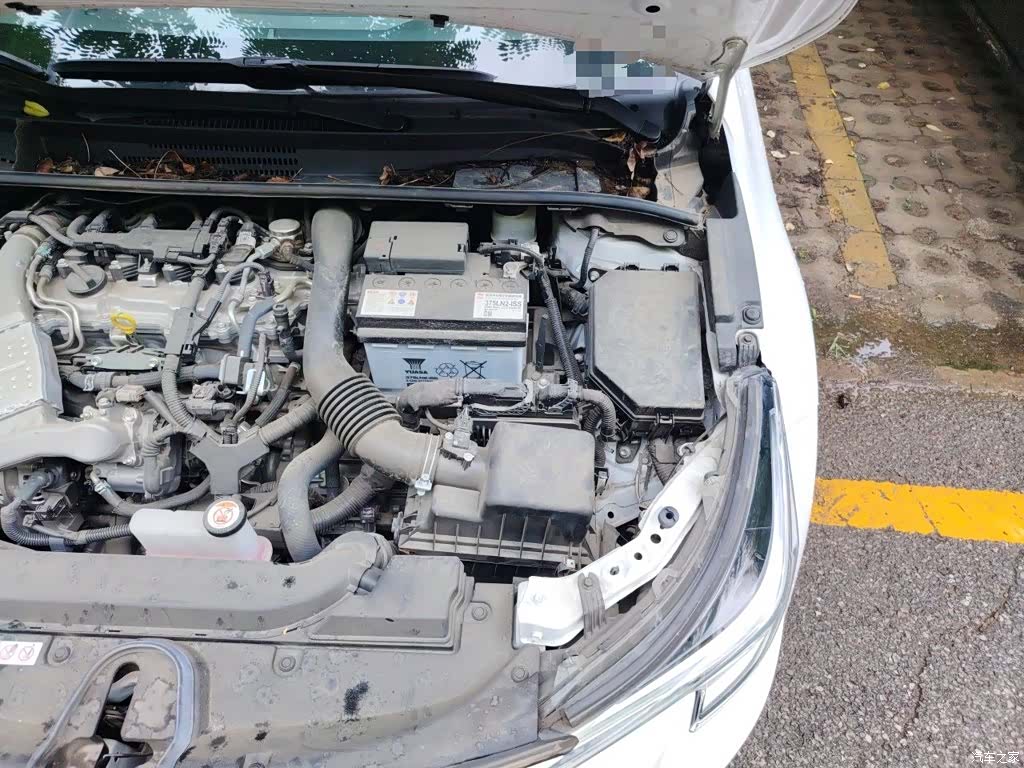 Toyota Levin, 2024 22