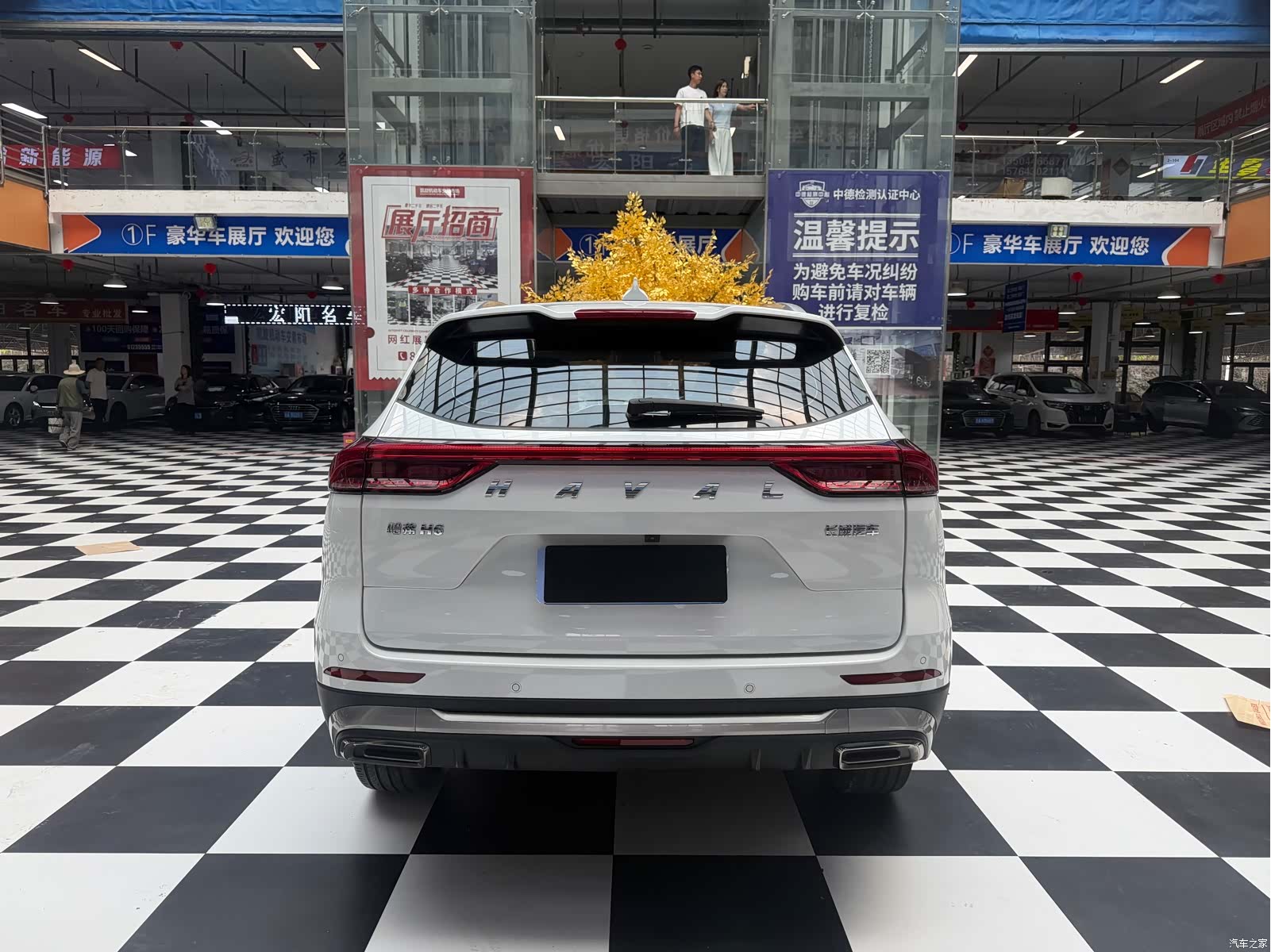 Haval H6, 2023 все фото