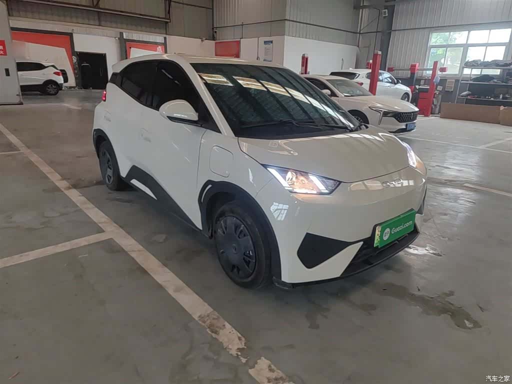 BYD Seagull, 2025 4