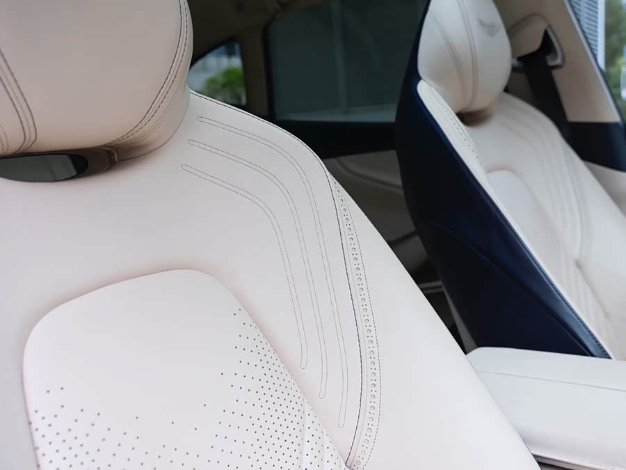 Aston Martin DBX 2021, фото 21