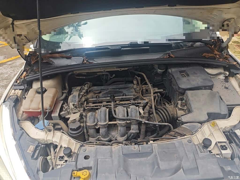 Ford Focus, 2016 11