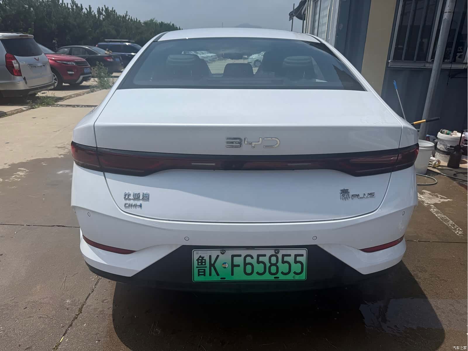 BYD Qin, 2026 6