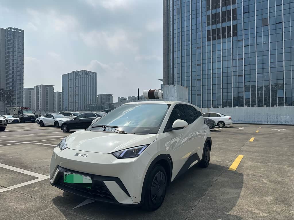 BYD Seagull