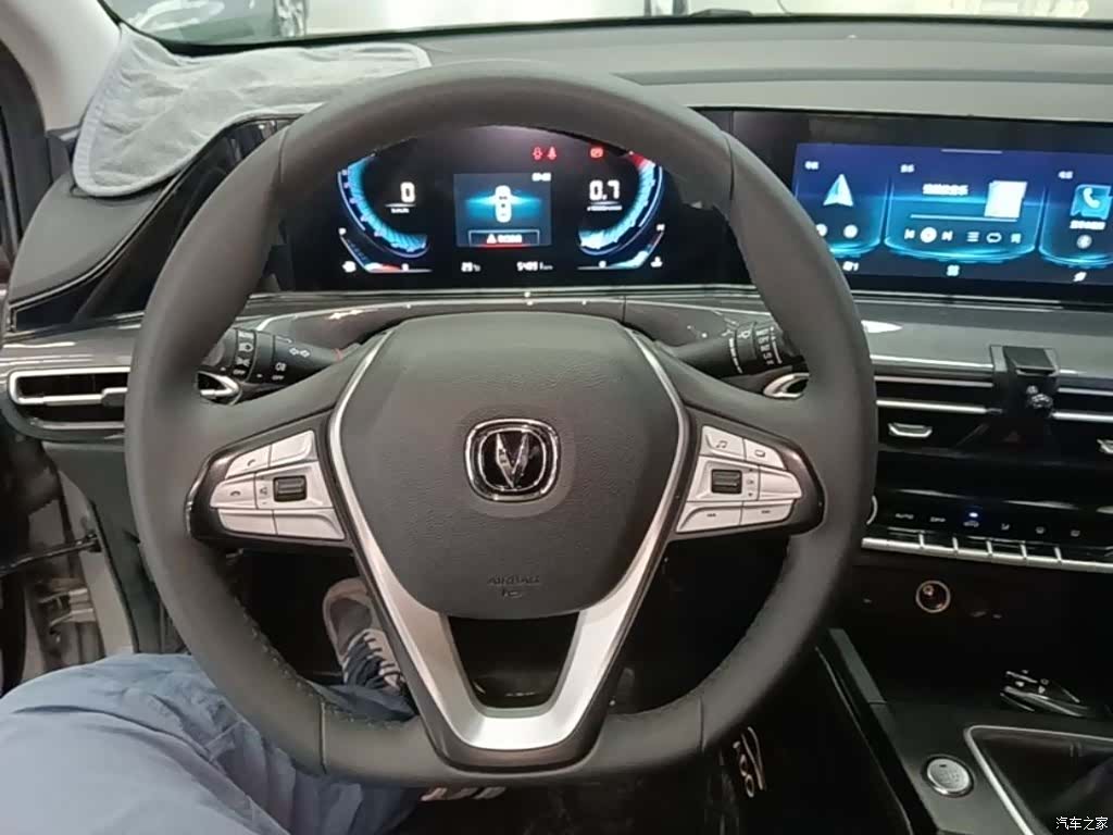 Changan Eado, 2020 11