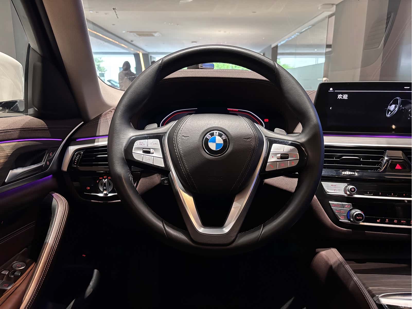 BMW 5 Series, 2020 11