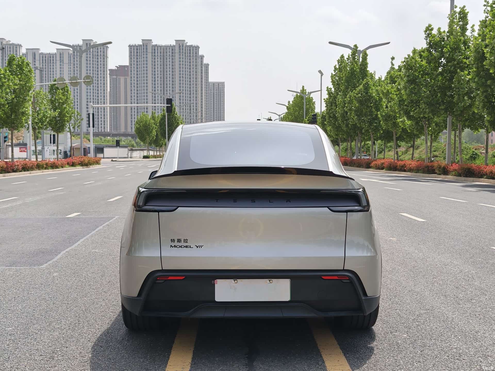 Tesla Model Y, 2025 все фото
