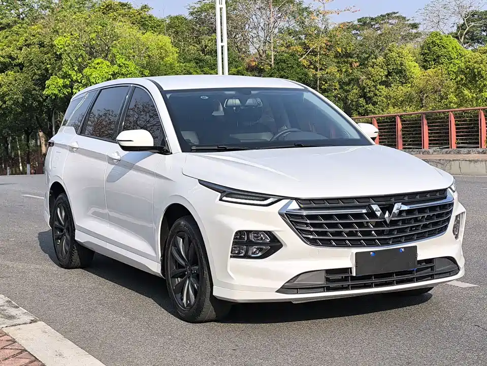 Wuling Wuling Capgemini