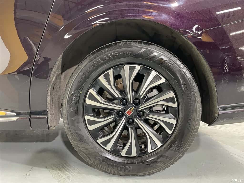 Hongqi HQ9, 2024 18