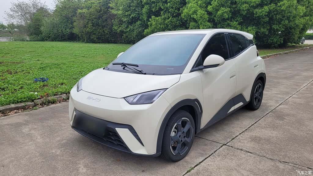 BYD Seagull, 2024 1