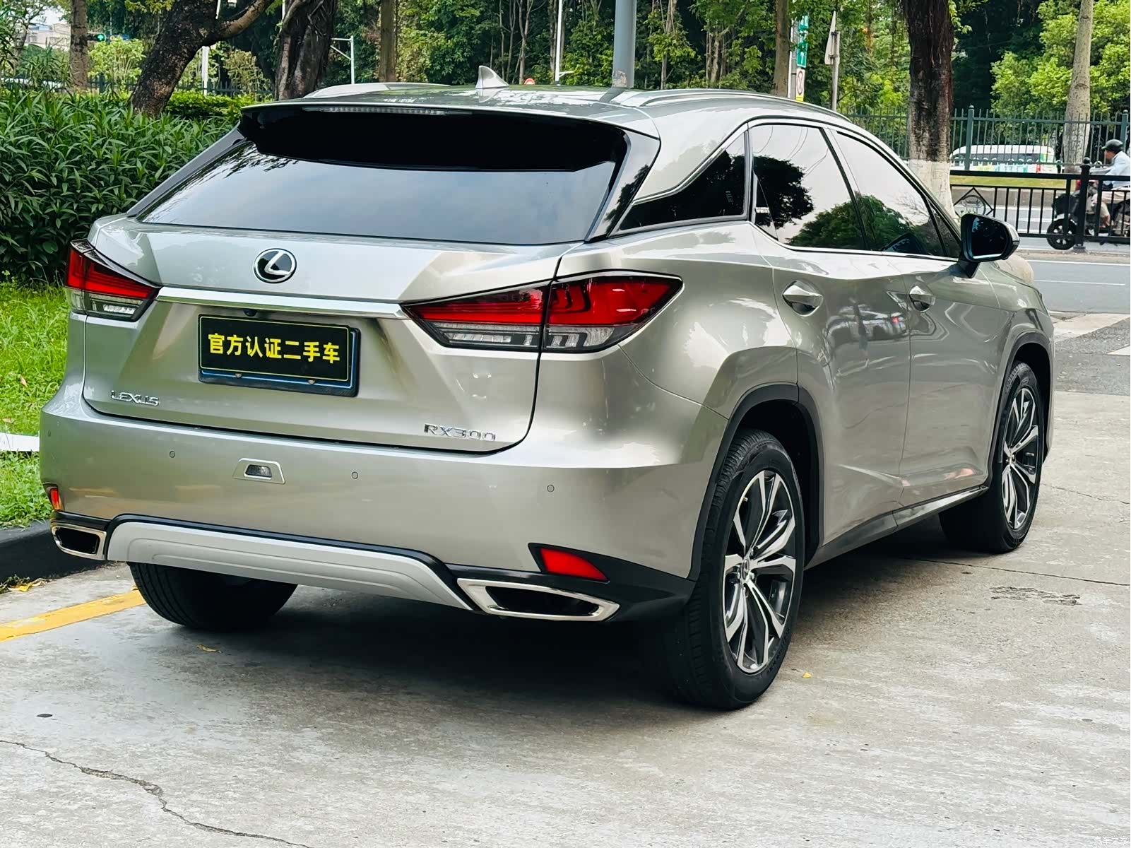 Lexus RX, 2022 все фото