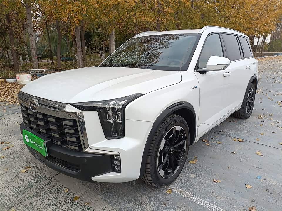 Trumpchi Trumpchi ES9