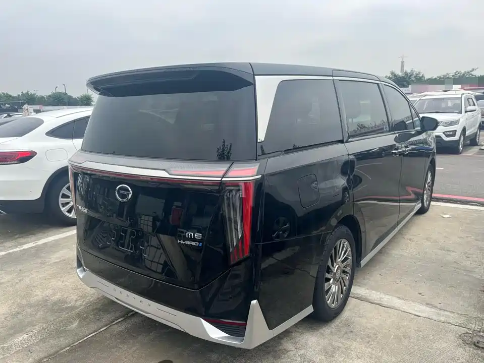 Trumpchi Trumpchi M8