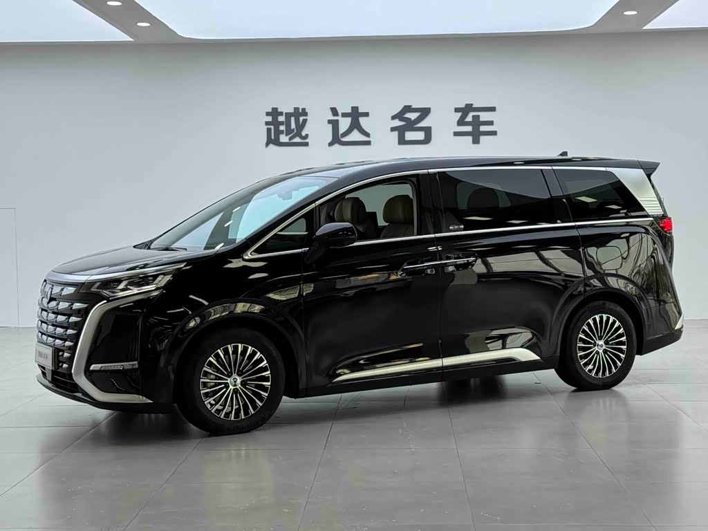 Denza D9