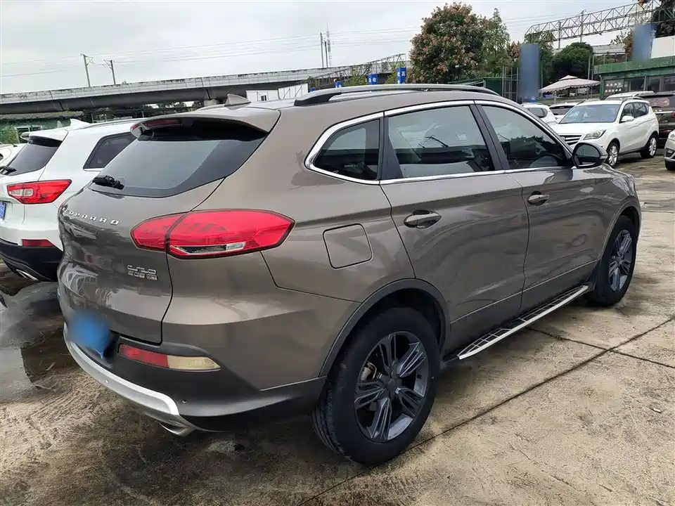 Leopaard Cheetah CS10