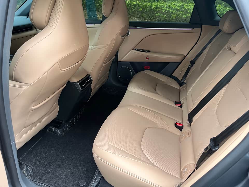 ARCFOX Polar Fox Alpha T5