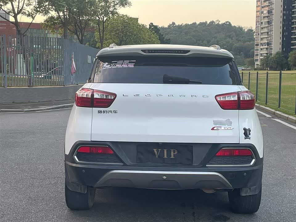 Leopaard Cheetah CS9