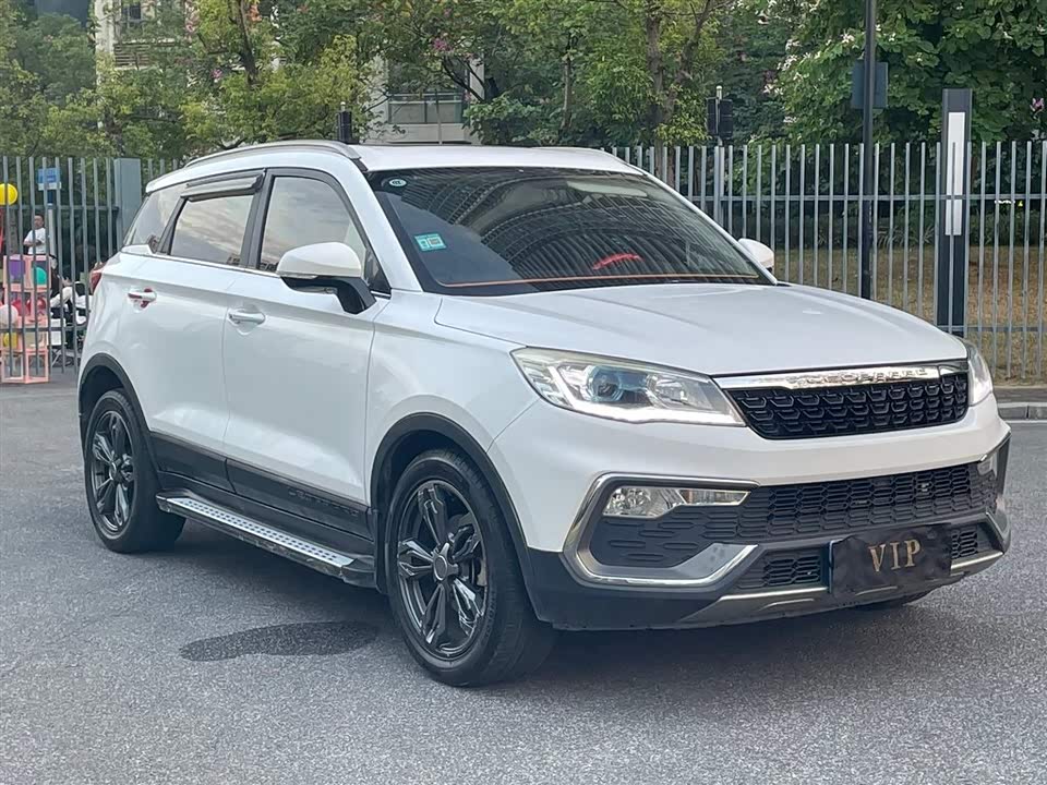 Leopaard Cheetah CS9