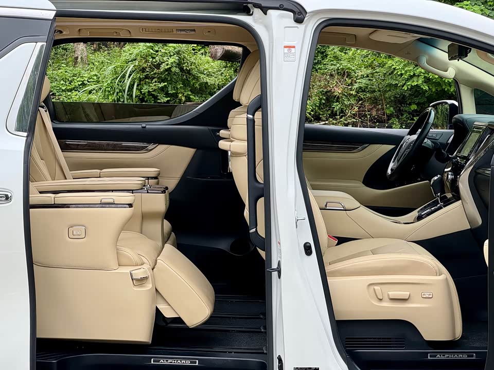 Toyota Elfa