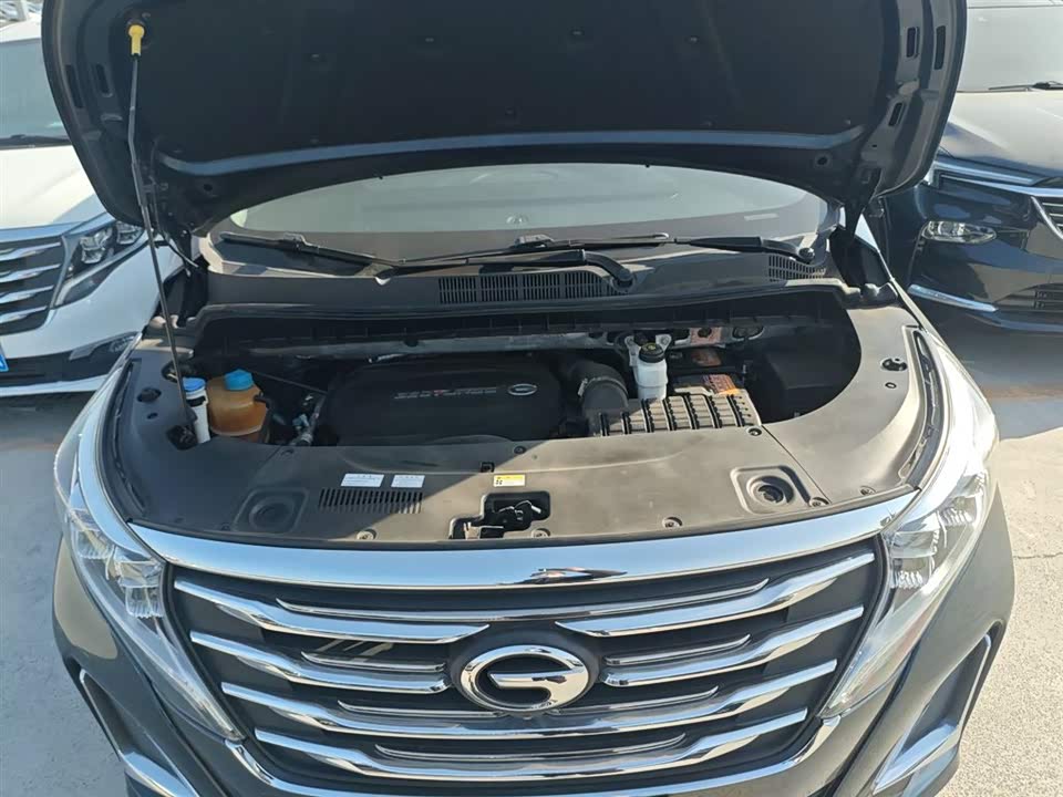 Trumpchi Trumpchi M8