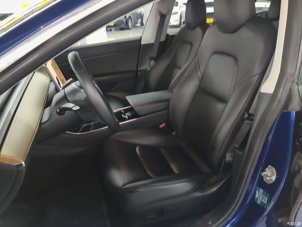 Tesla Model 3, 2019 15