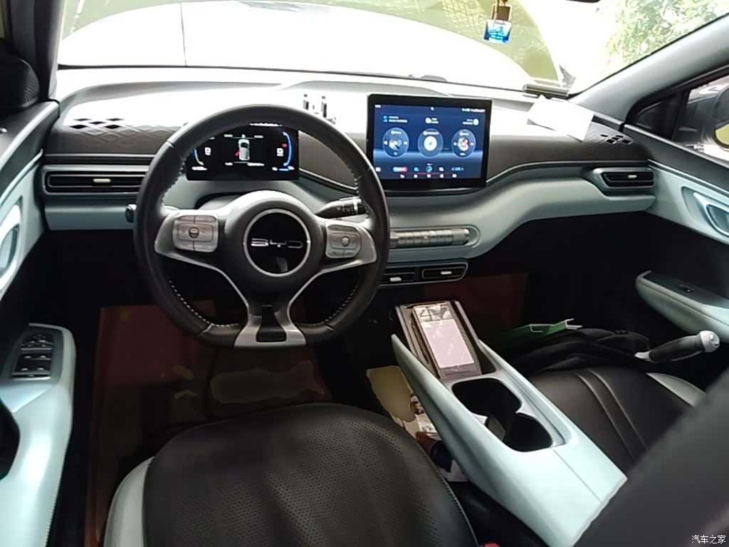 BYD Seagull, 2024 10