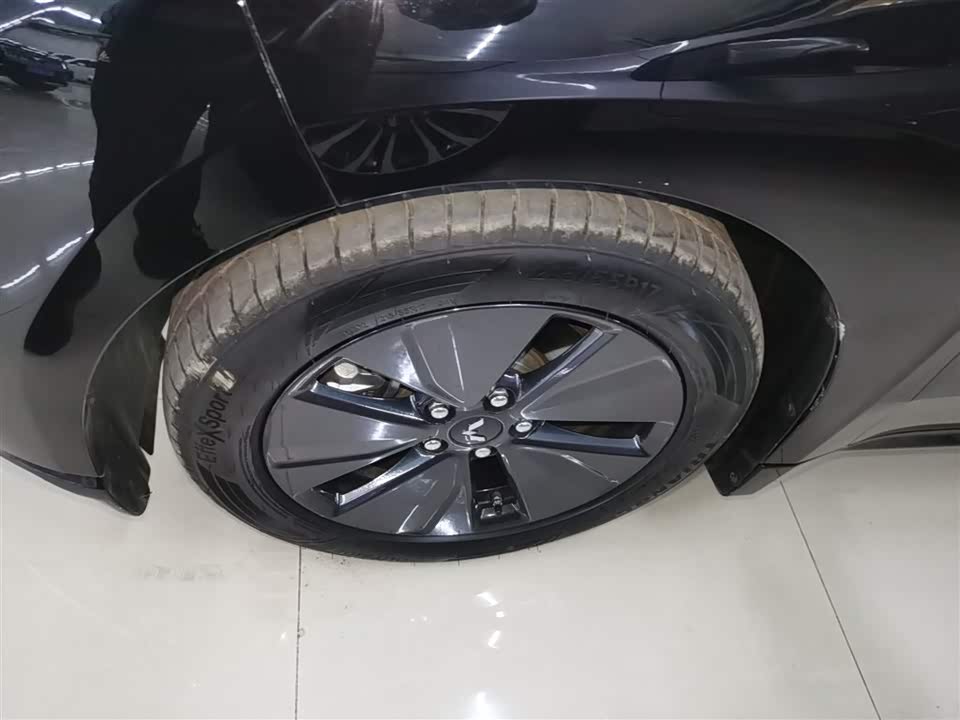 Wuling Wuling Starlight