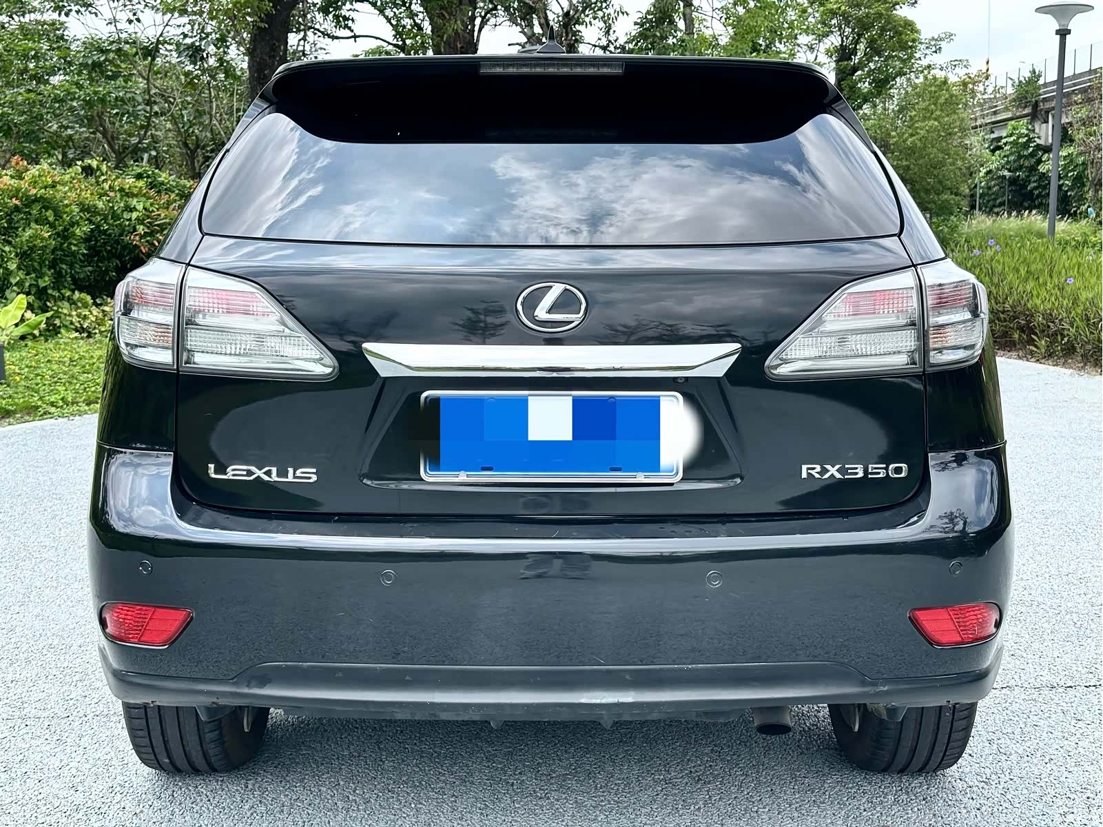 Lexus RX, 2009 все фото