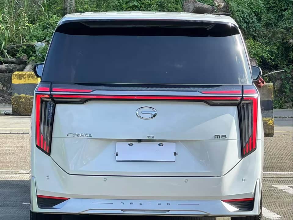 Trumpchi Trumpchi M8