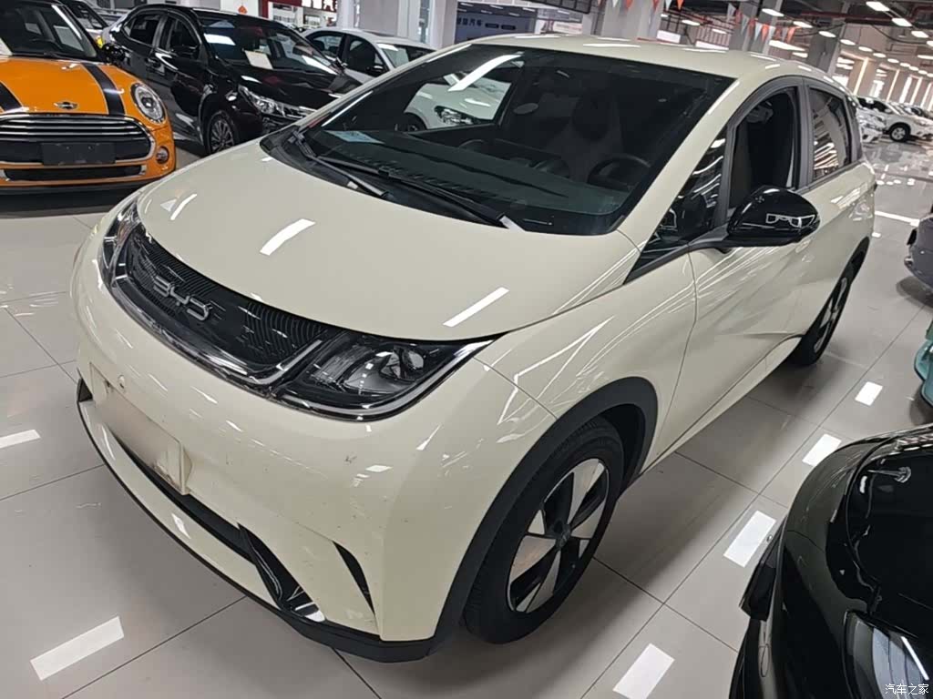 BYD Dolphin, 2023 1