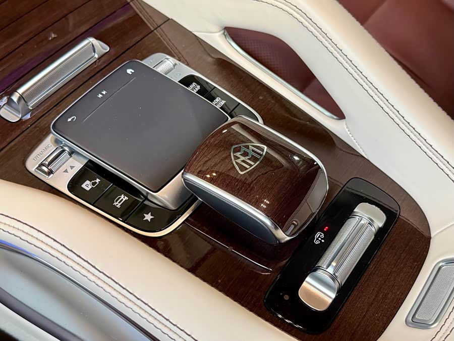 Mercedes-Benz Maybach GLS 2022, фото 13