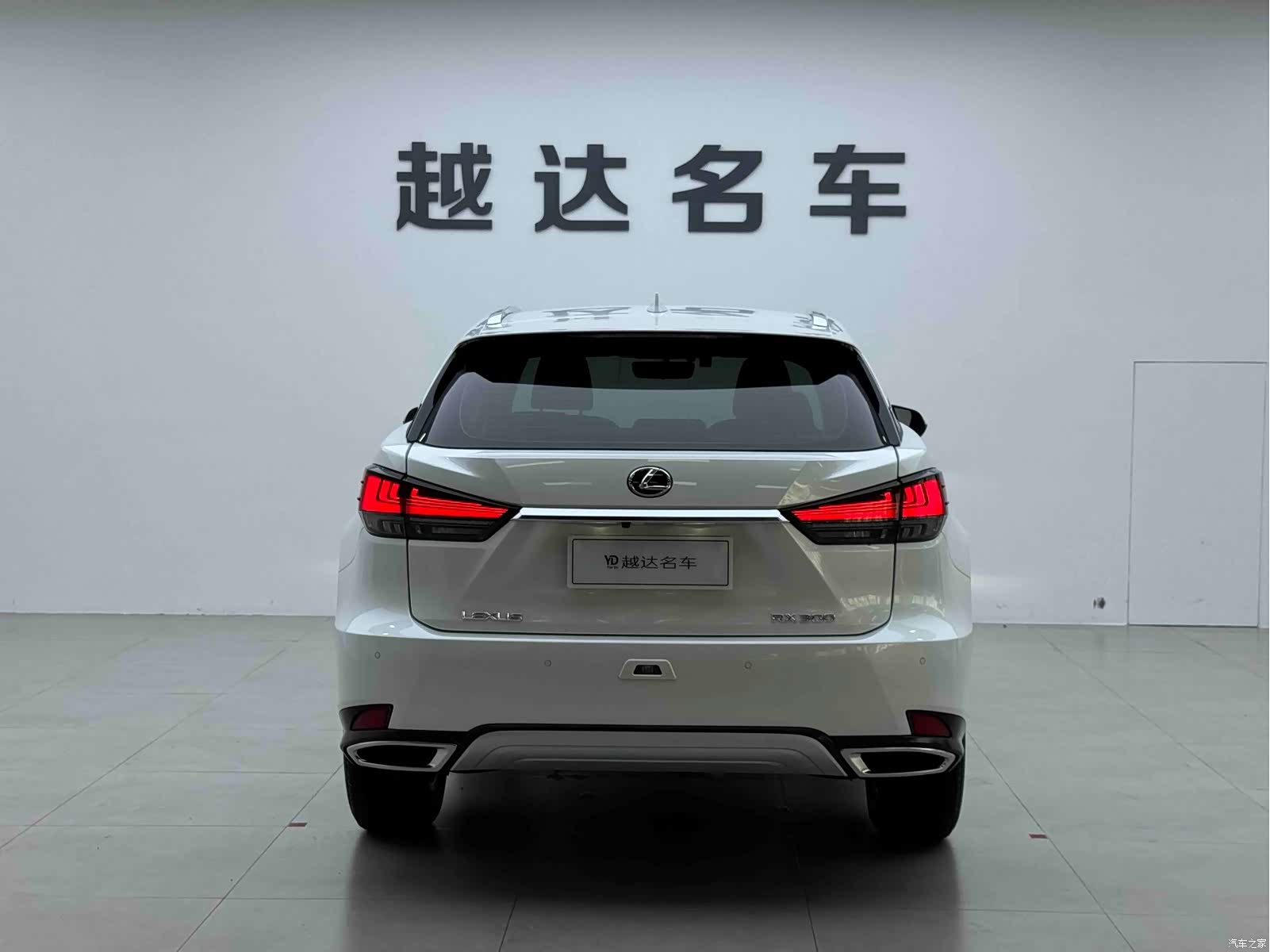 Lexus RX, 2023 20